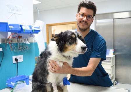 Dr Martineau consultation chien CHV Cordeliers